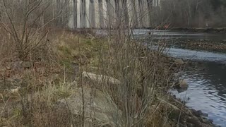 North Fork River / Norfork Dam
