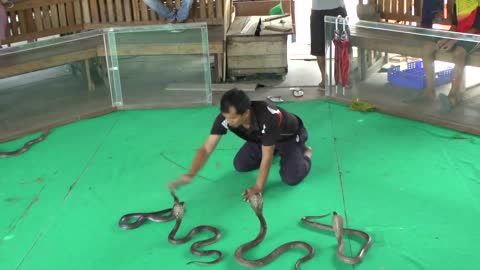 Snake charmer gets up close and personal