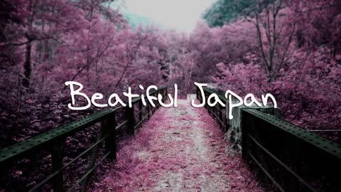 Beautiful Japanese Music