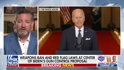 Ted Cruz says Biden's gun control address riddled with 'hard left divisive politics'