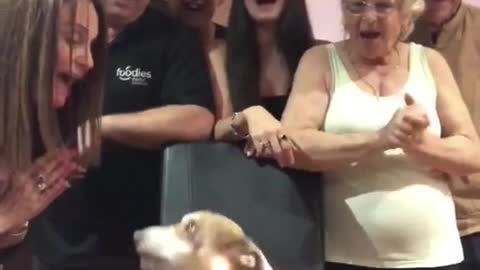 Family gathers around for doggy's 13th birthday party