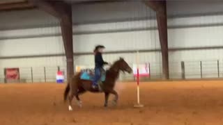 Pole bending at the rodeo