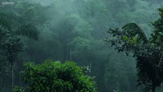 Relaxing Music & Soft Rain: Sleep Music, Calm Piano Music, Healing Music, Peaceful Music