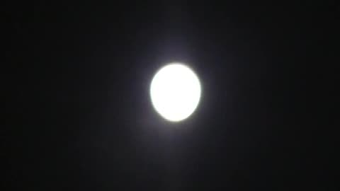 🥶Snow Moon 🌜Last Night!! Sickness Spreading!!🤧