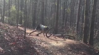 Green shirt long hair dirt bike fall