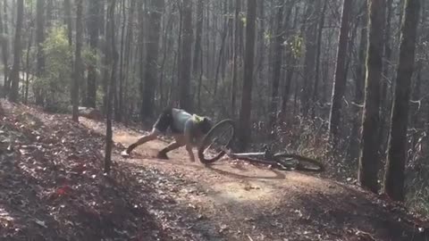 Green shirt long hair dirt bike fall