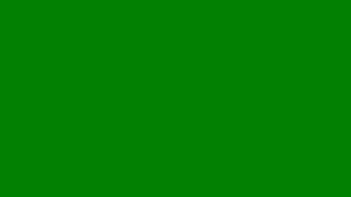 🌈Nature Green color 🎞️ Video Screen for 60 Minutes🔇 | Silent 111_46