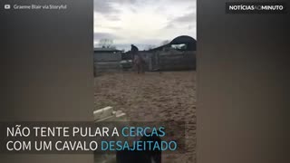 Cavalo desajeitado tenta pular cerca, mas leva tombo hilário