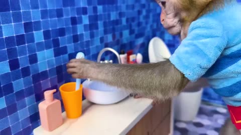 Monkey Baby Bon Bon oes to the toilet
