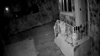 Burglars Run Screaming After Waking Homeowner