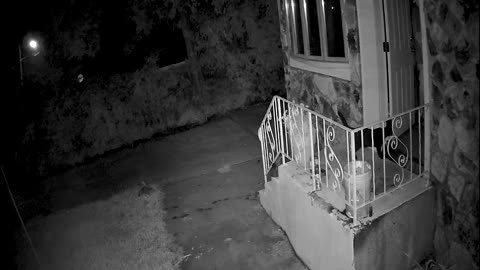 Burglars Run Screaming After Waking Homeowner