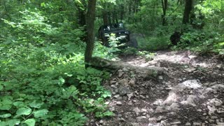 YJ Wrangler up and back down Gilligan KROCKS