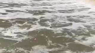 Amazing River in Canada !!