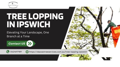 Enhance Your Landscape with Expert Tree Lopping in Ipswich