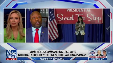 Nikki Haley's Campaign Is Descending, It's Desperation Coming From Her Camp - Tim Scott
