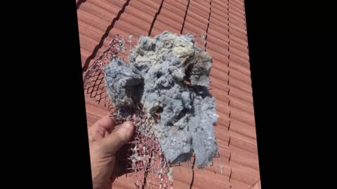The Lint Man Dryer Vent Cleaning - (561) 914-6085