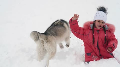 Young girl playing with siberian husky malamute dog on the snow outdoors in winter forest park