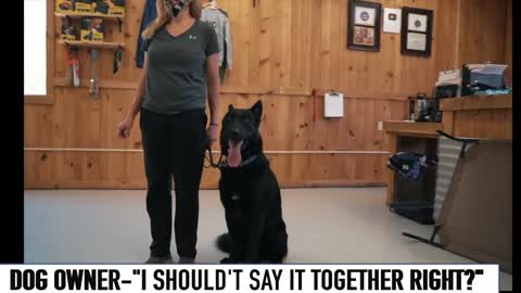 Ultimate Dog Training: She can finally control her dog