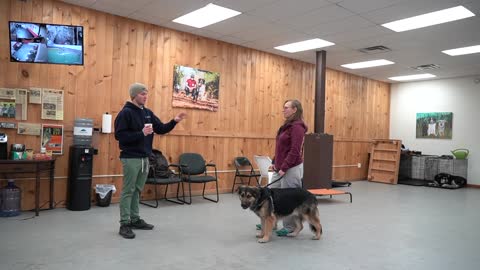 How to teach your dog to listen to you and be obedient