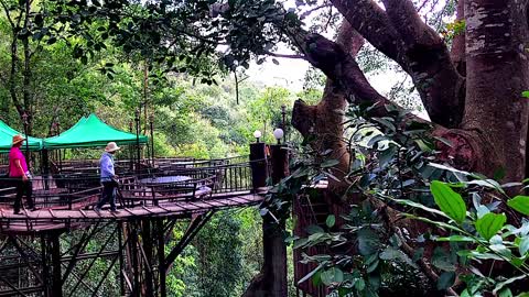 The Giant Tree Top Cafe _ Chiang Mai hidden gemstones _ Thailand Travel Vlog