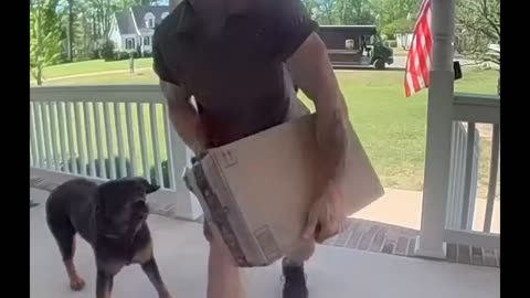 Dog becomes friends with the UPS delivery guy! 🤩❤️🎥