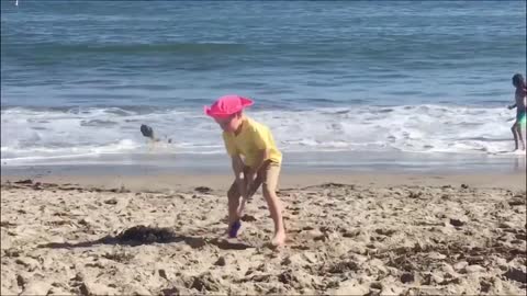 funniest babies on the beach