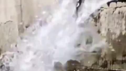 Incredible - Fish Swims UP Into a Pipe (no sound)
