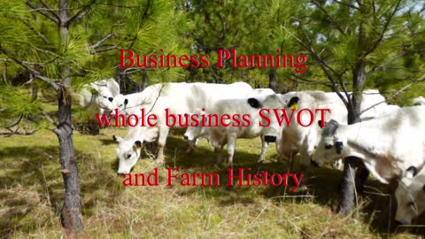 Business Planning SWOT and Farm History