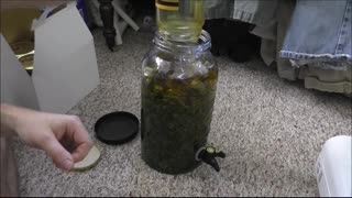 Infusing Honey With Decarbed Cannabis Finale