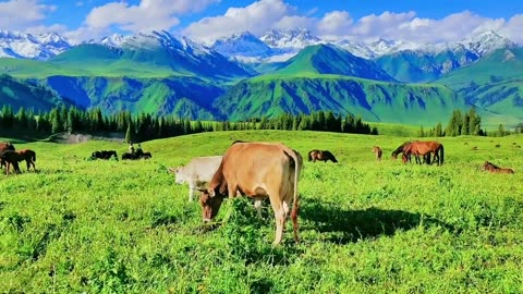 Horseback Riding Through Golden Sands