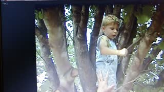 Up A Tree