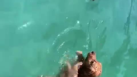 Swimmin’ with my little friend!