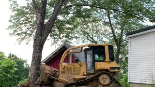 Pushing Trees out with the CAT D5 High Track