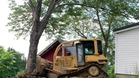 Pushing Trees out with the CAT D5 High Track