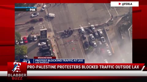 Pro-Palestine Protesters Blocked Traffic Outside LAX
