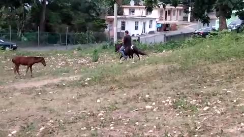 Pony Refuses To Let Man Ride