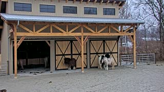 Mini Barn Frame