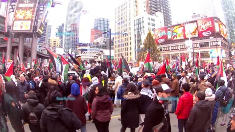 Ceasefire now - end complicity with israel - lift the siege on gaza - toronto 4 palestine