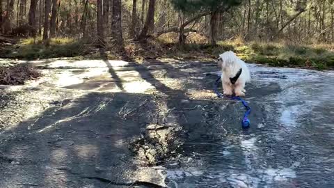 Icy Slope Causes Girl to Slide Into the Lake