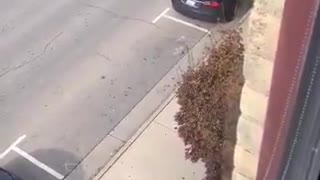 Man moves his car from office window
