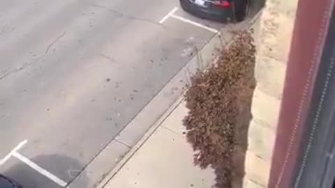 Man moves his car from office window