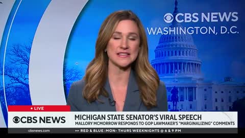 Michigan state senator responds after Republican colleague accuses her of groomi