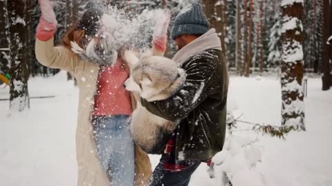 Husky puppy play in snow with owners