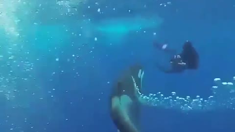 Love Life ocean | Amazing Footage beautiful Sound