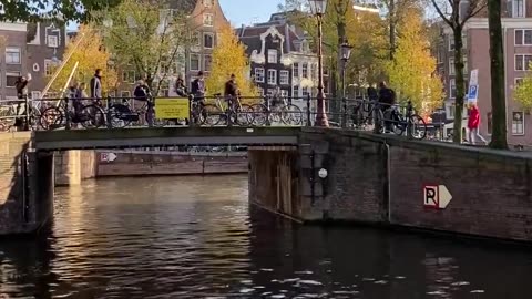 Discover Amsterdam's Charm