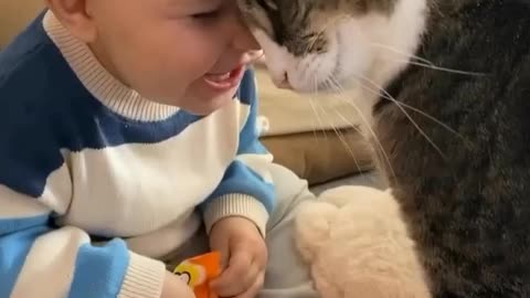 Cat and baby playing ,cat friendship