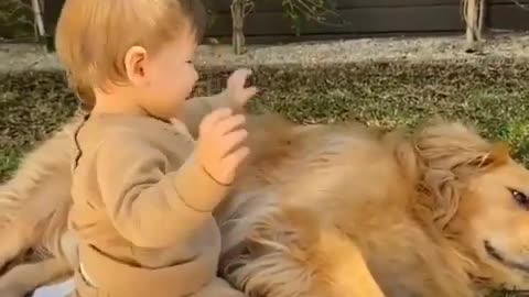 Golden Retriever and baby love | Dog love With Baby | Pet Planet | Family Dog