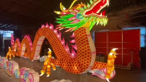 Traditional Dragon lantern light showcase #Hoyechi