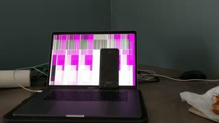 Screen Interference from Phone