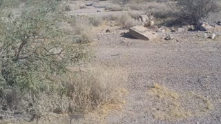 Ghost town of Olberg, Az, Old Gila River Bridge and Domes of Casa Grande, Az